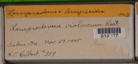 Image Associated With the Occurence